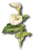 holiday_easter_icon